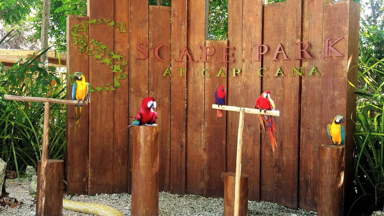 Photo of Outdoor in Punta Cana