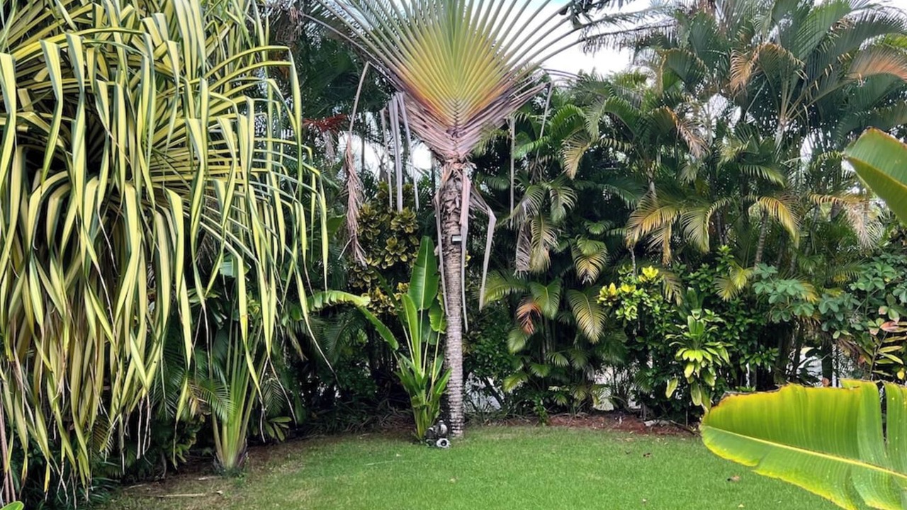 Photo of Others in Las Terrenas