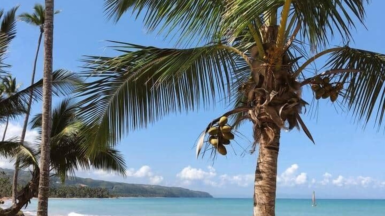 Photo of Others in Las Terrenas