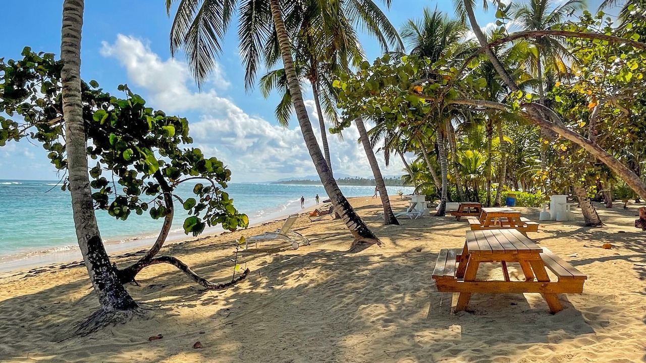 Photo of Others in Las Terrenas