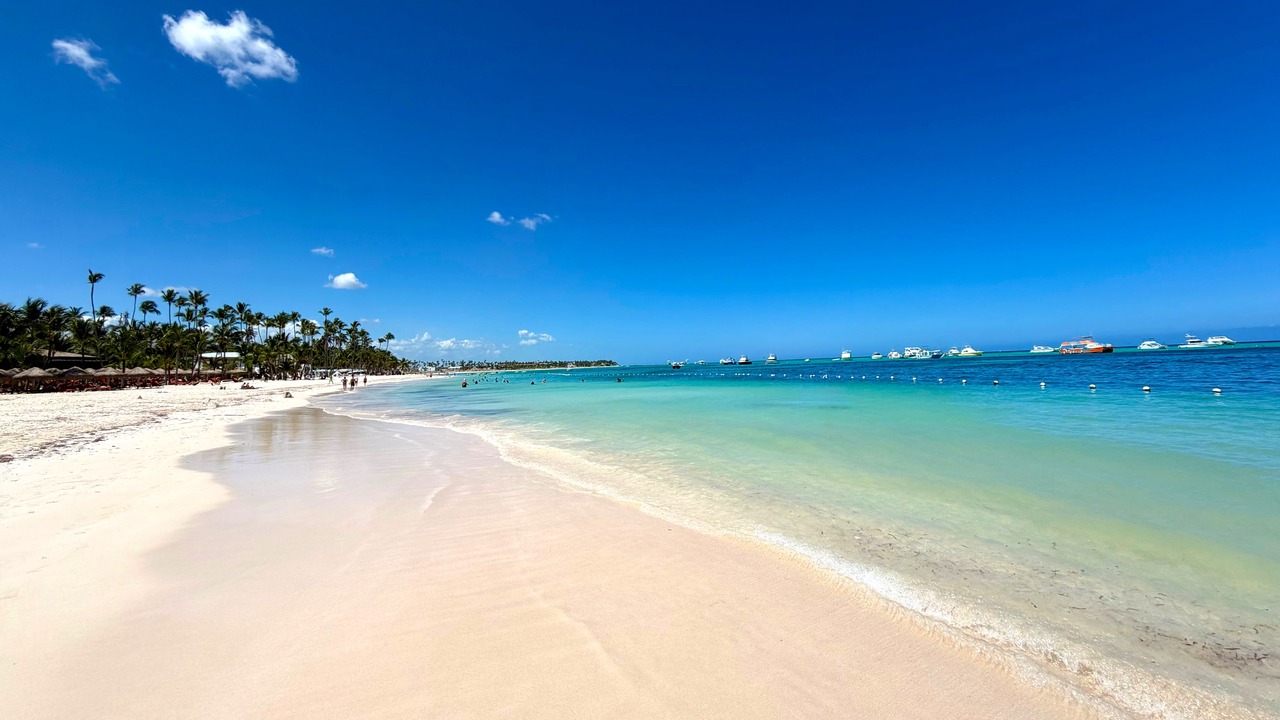 Photo of Others in Playa Bibijagua