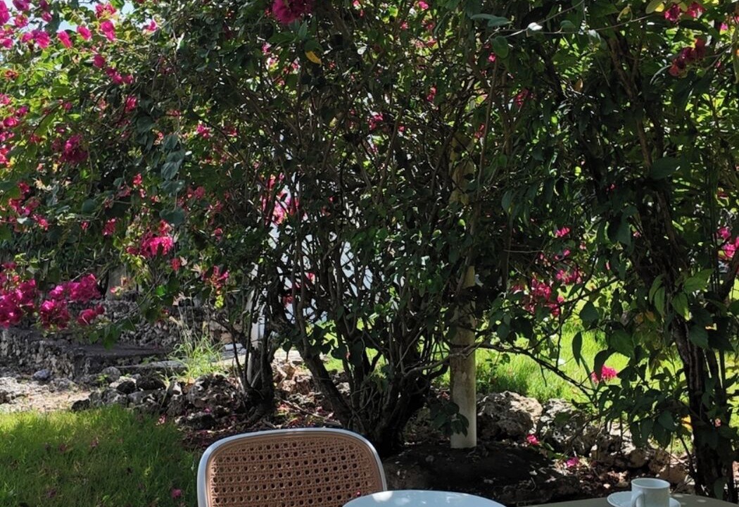 Photo of Outdoor in Rio San Juan
