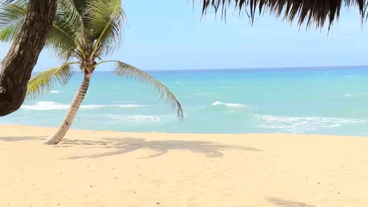 Photo of Others in Cabarete