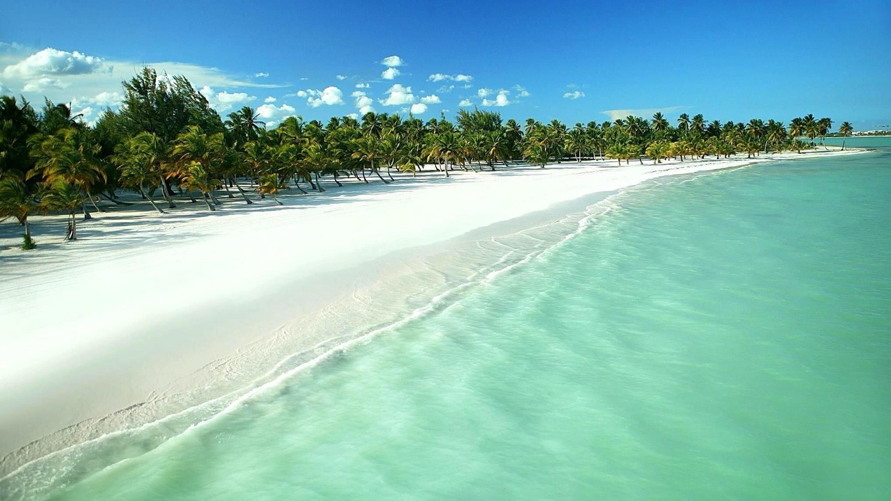 Photo of Others in Punta Cana