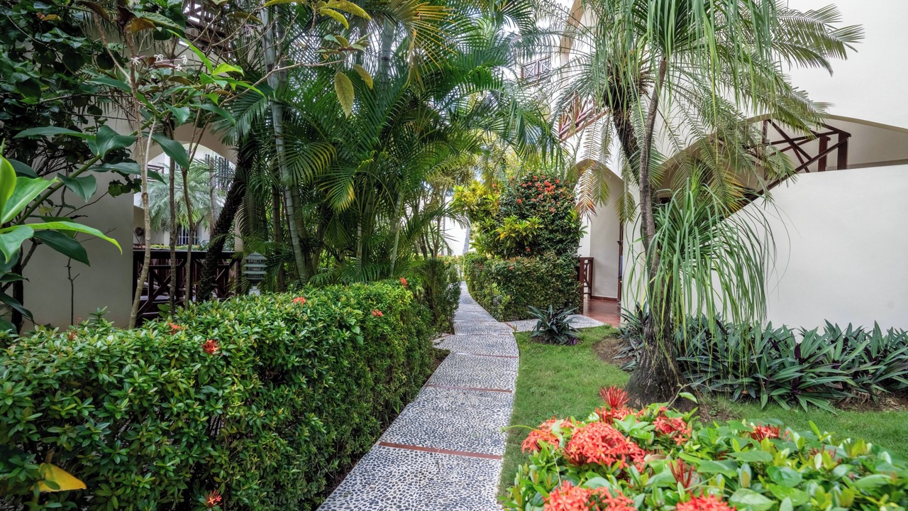 Photo of Outdoor in La Iglesia