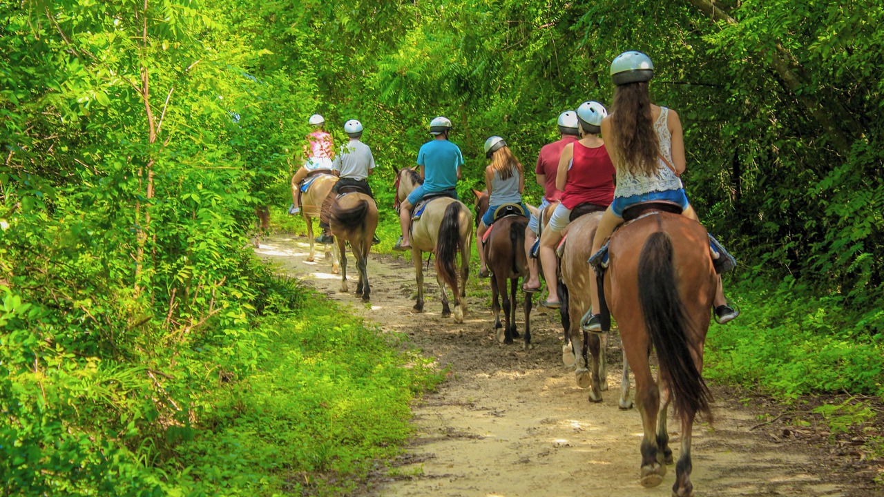 Photo of Others in Punta Cana