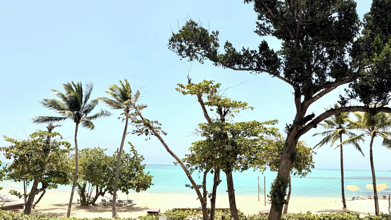 Photo of Others in Puerto Plata