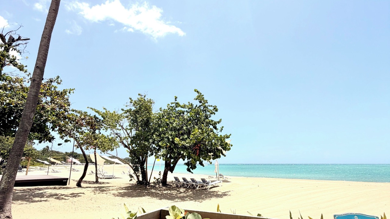 Photo of Others in Puerto Plata
