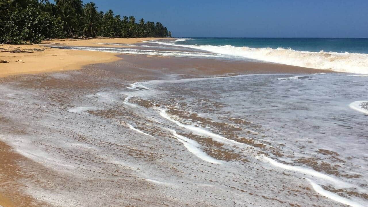 Photo of Others in Las Terrenas