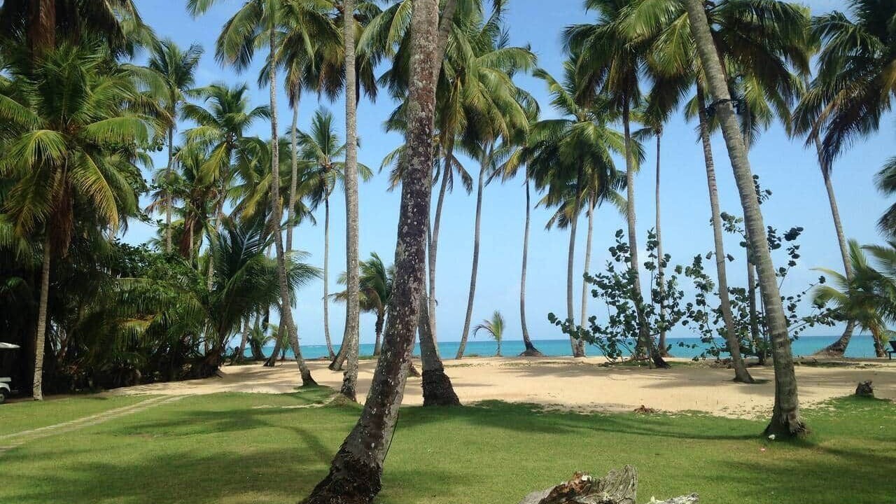 Photo of Others in Las Terrenas