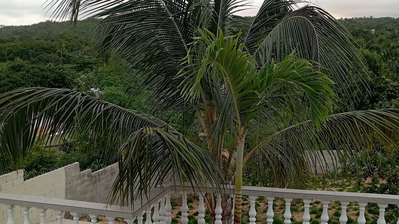 Photo of Outdoor in Las Galeras