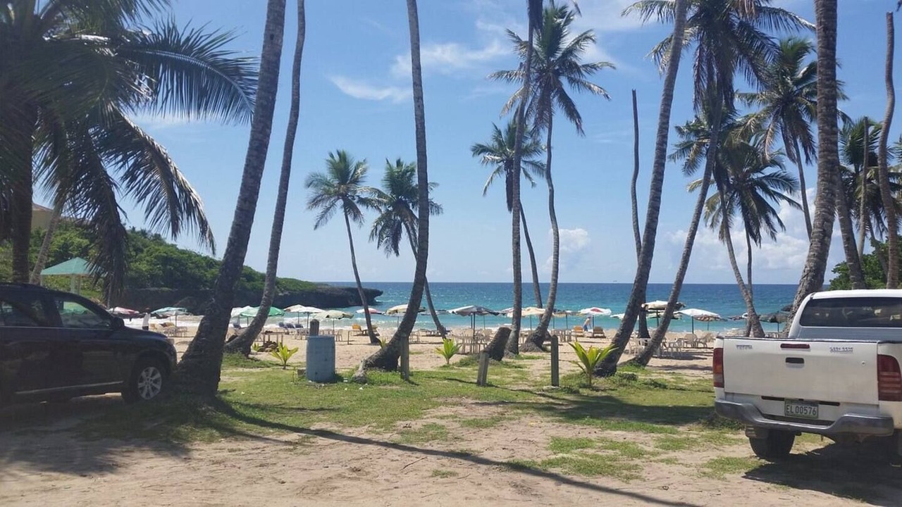 Photo of Others in Guayacanes