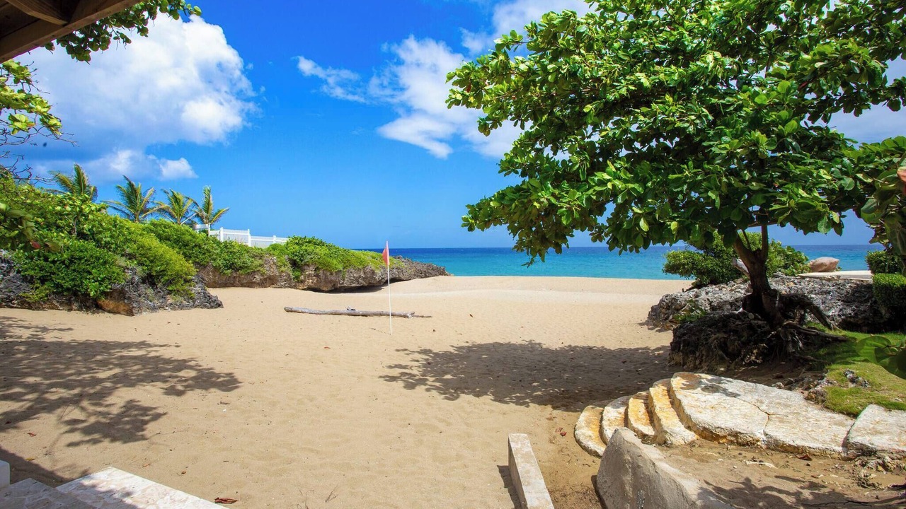 Photo of Others in Playa Chiquita