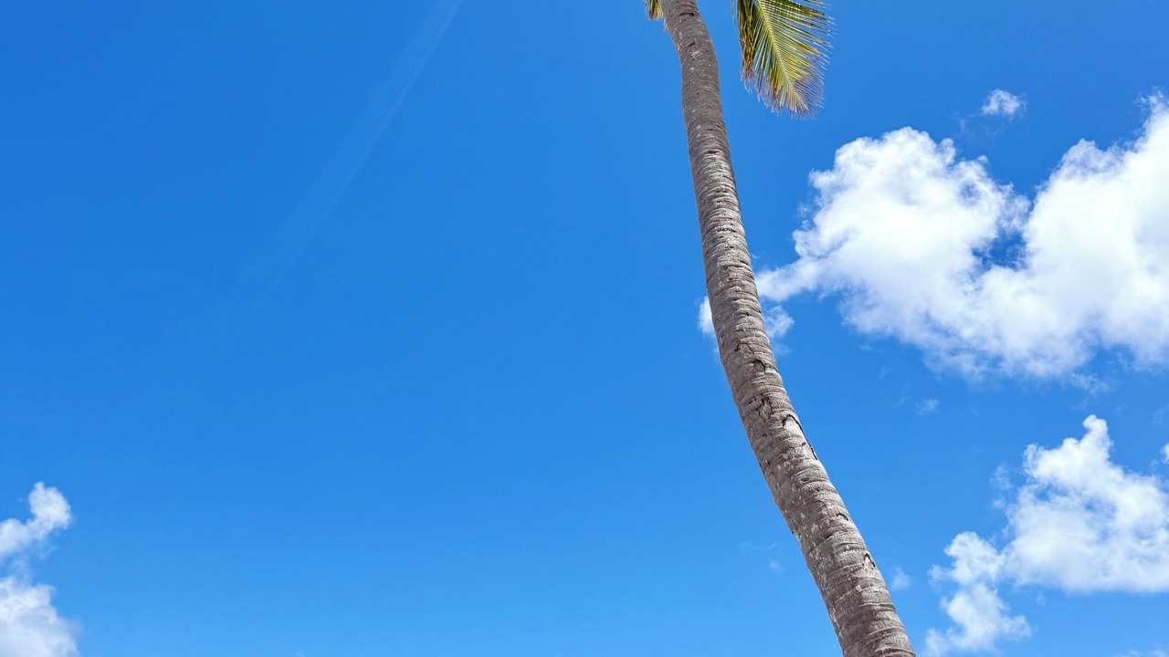 Photo of Others in Punta Cana Village