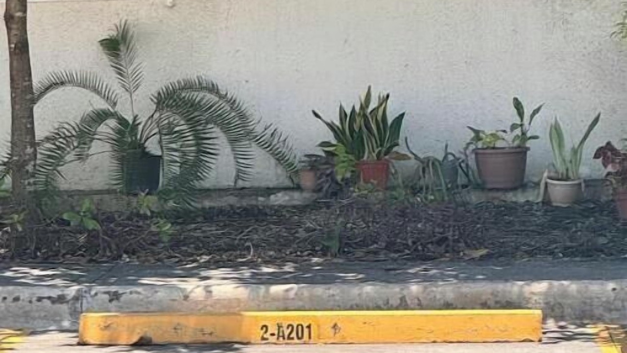 Photo of Outdoor in Prado Oriental