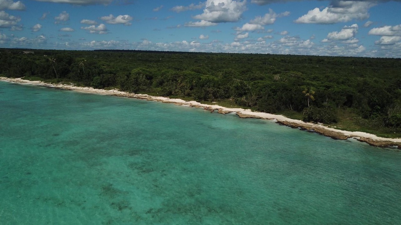 Photo of Others in Dominicus