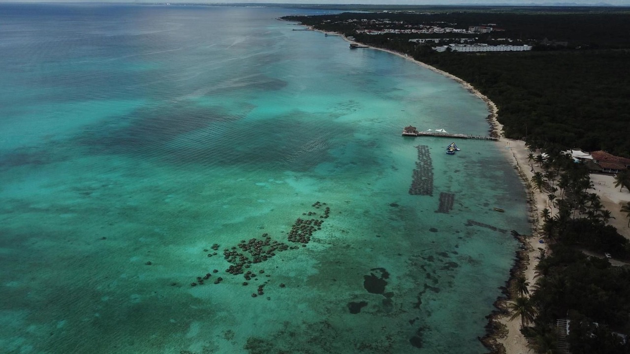 Photo of Others in Dominicus
