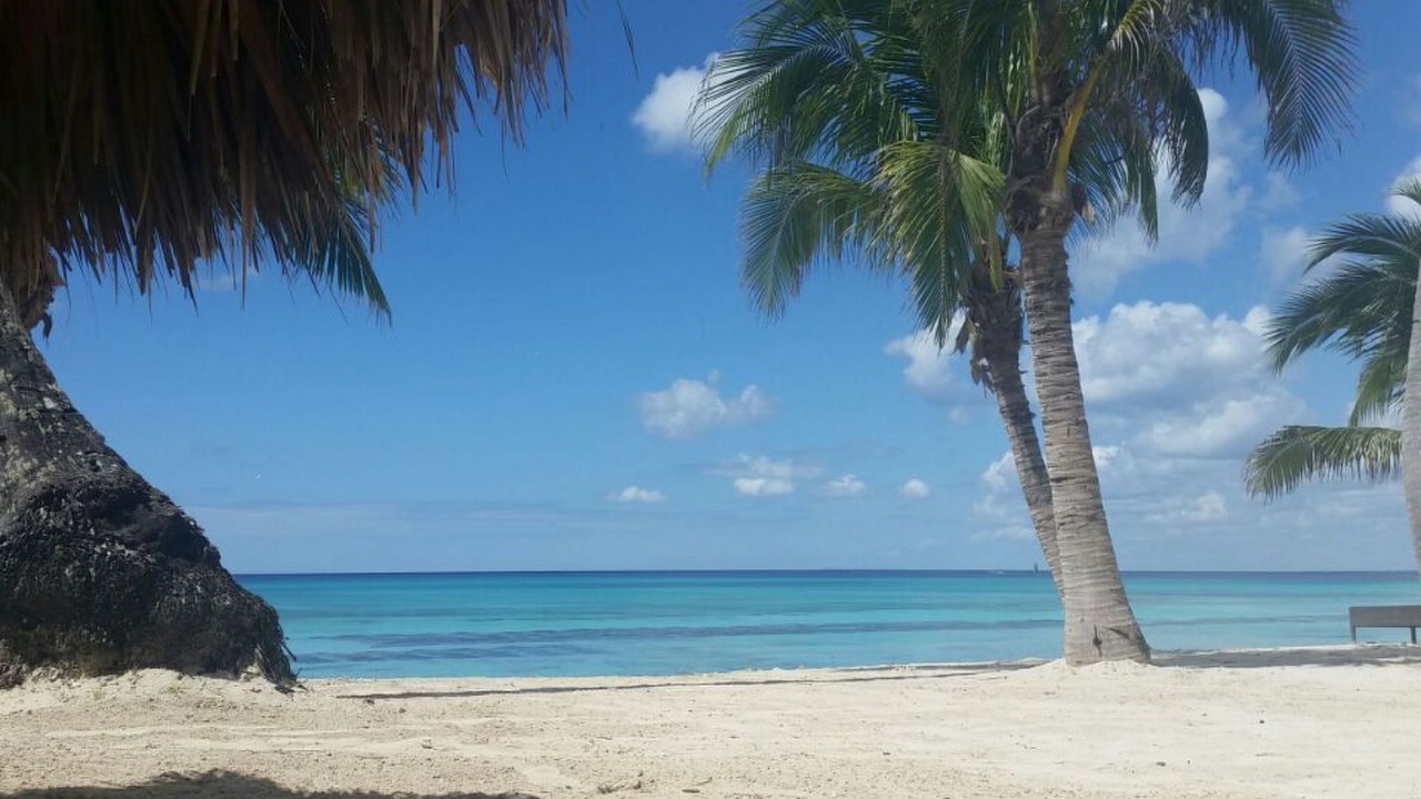 Photo of Others in Dominicus