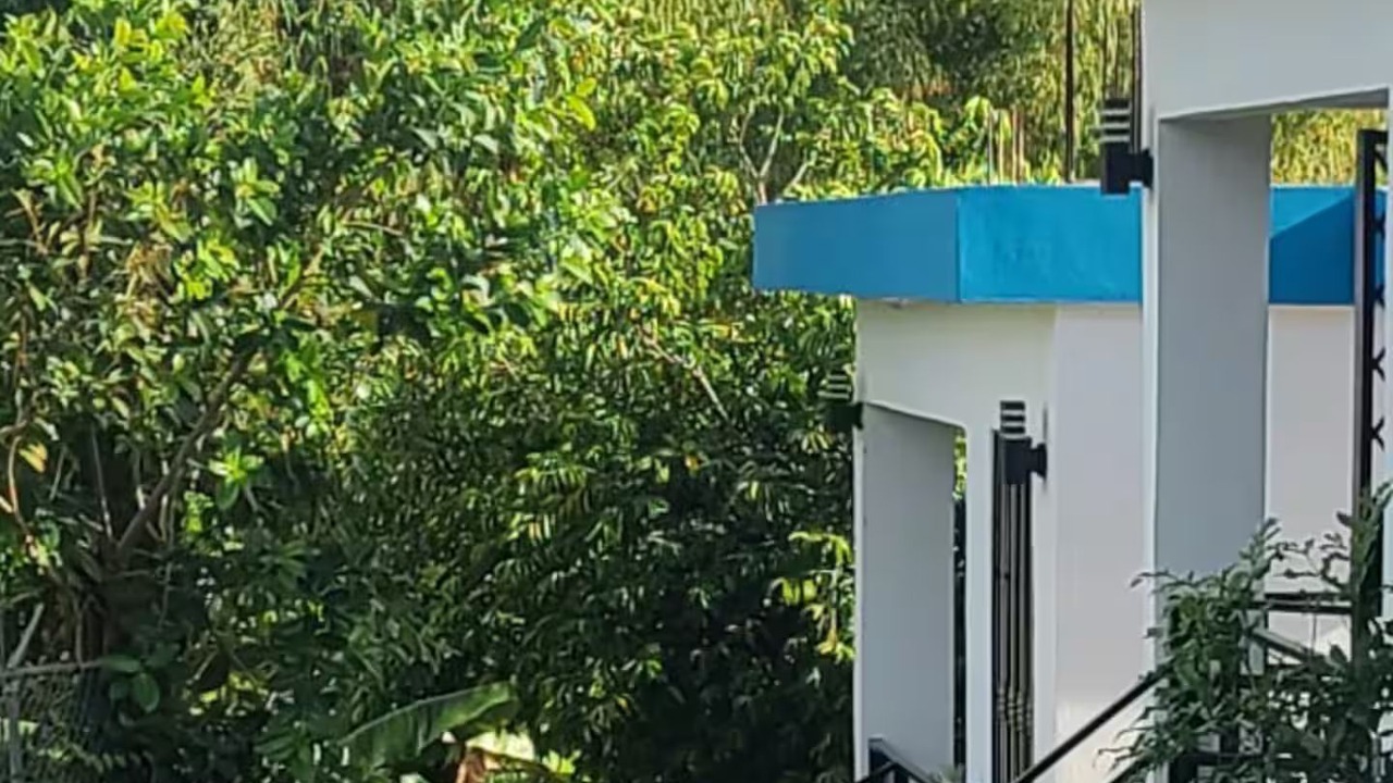 Photo of Outdoor in Las Galeras
