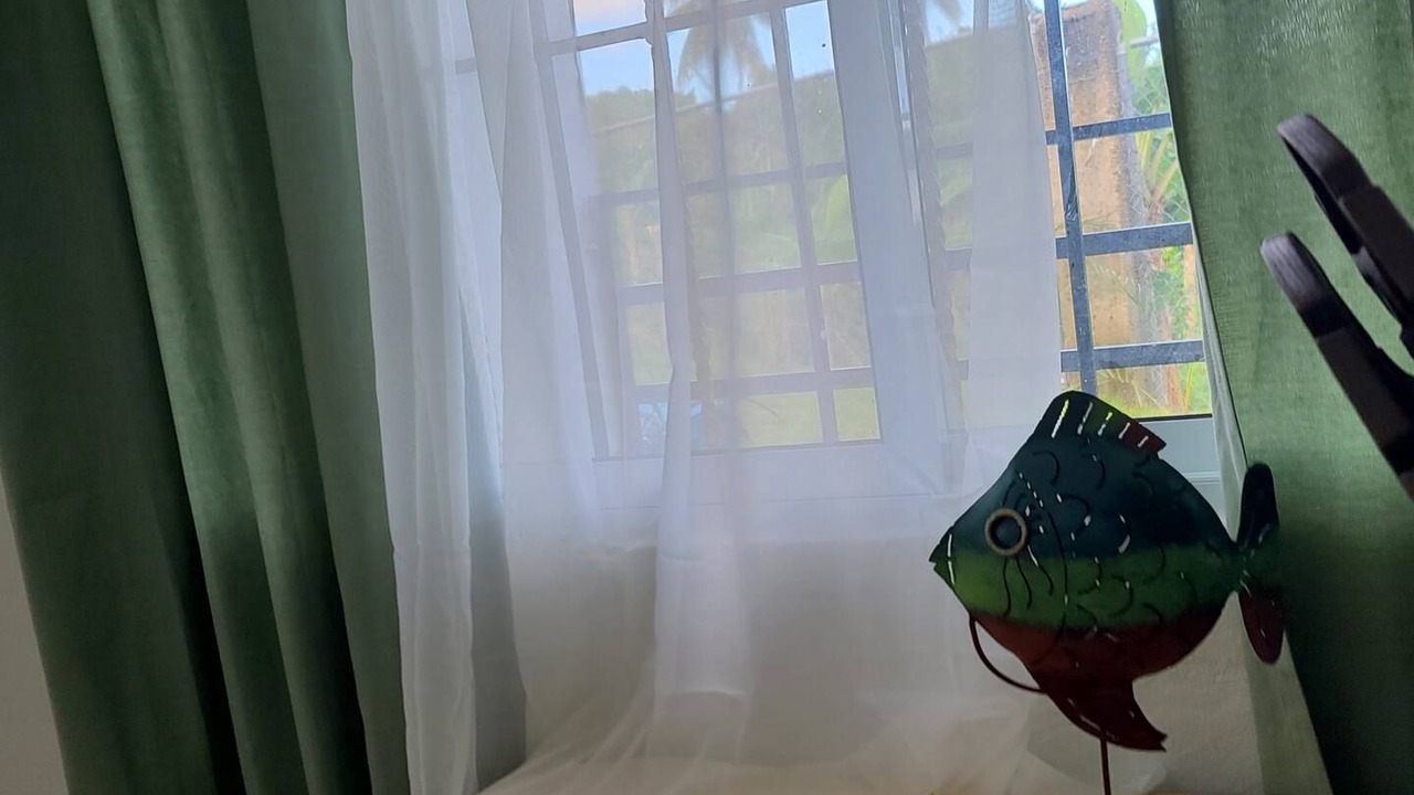 Photo of Others in Las Galeras