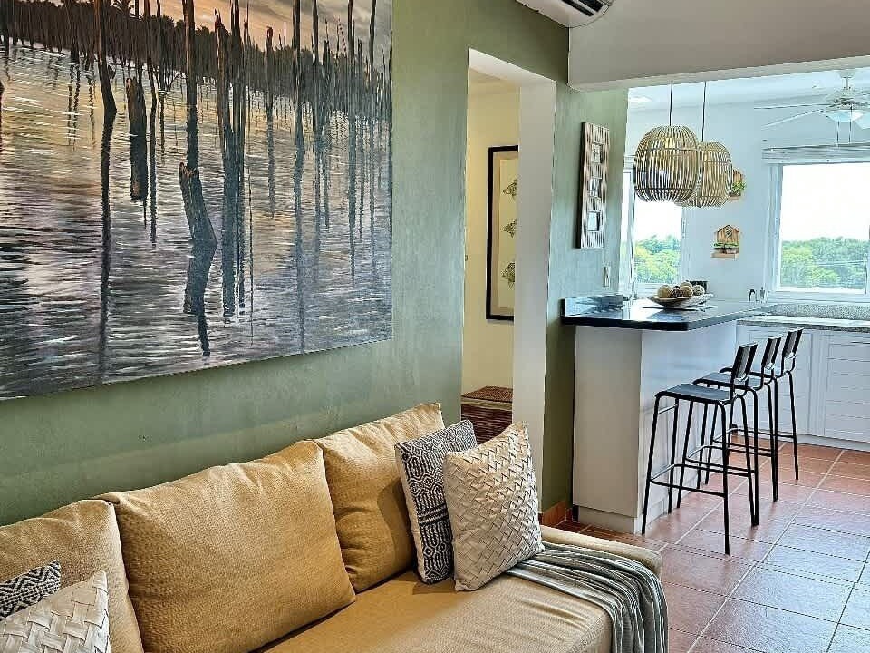Photo of Livingroom in Playa Bibijagua