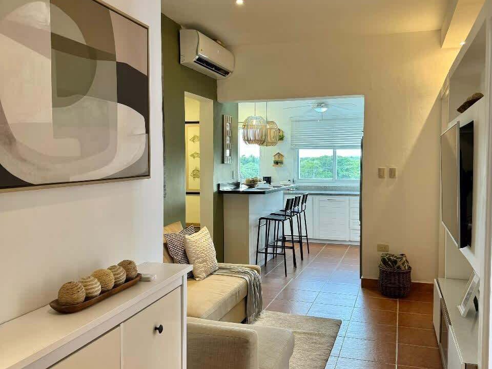 Photo of Livingroom in Playa Bibijagua