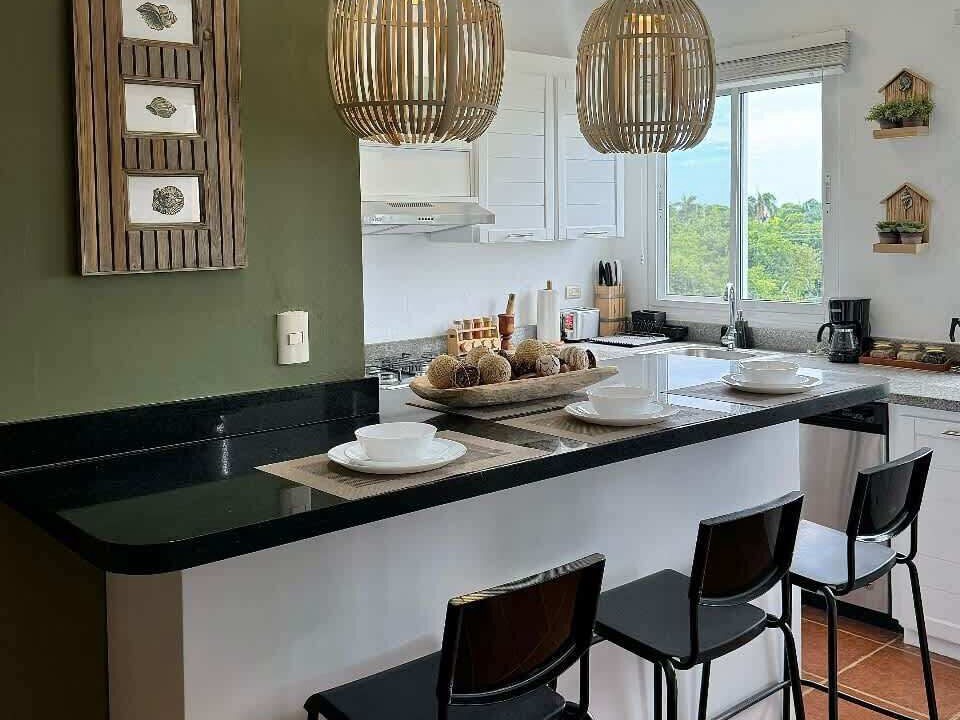Photo of Kitchen in Playa Bibijagua