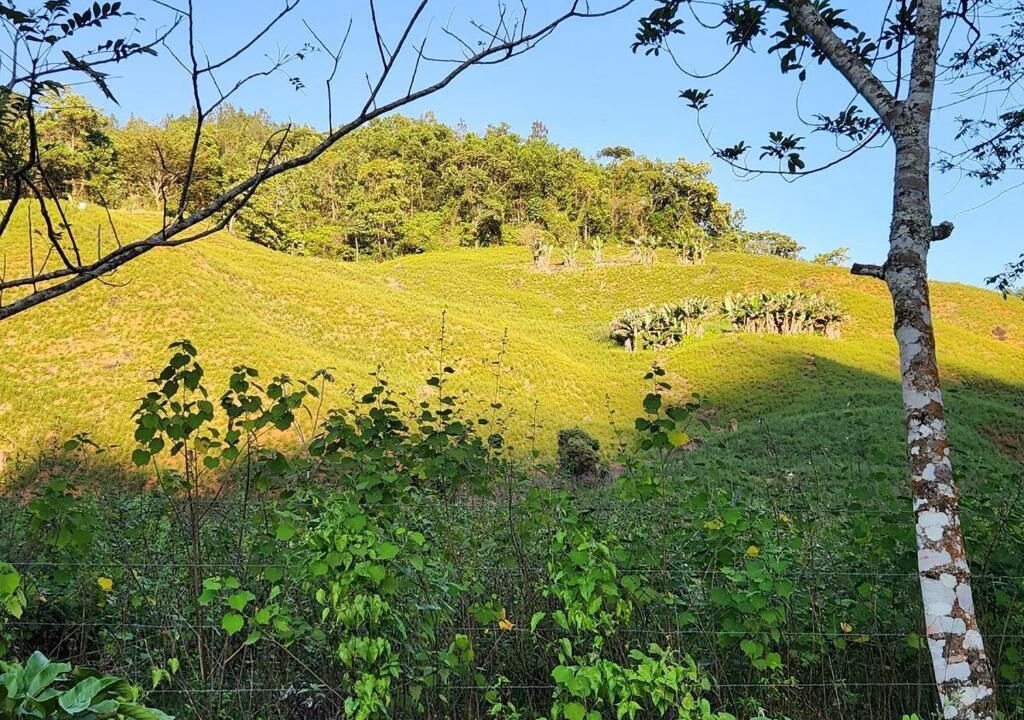 Photo of Others in Bonao