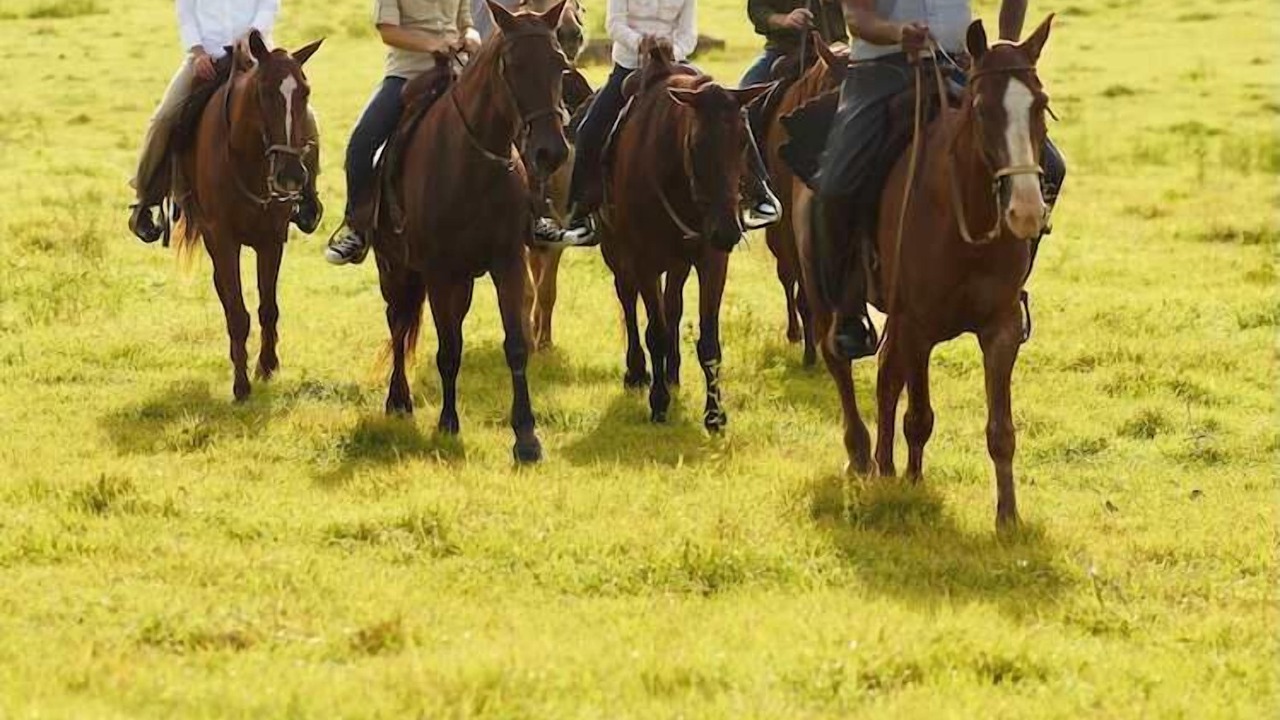 Photo of Others in Casa de Campo