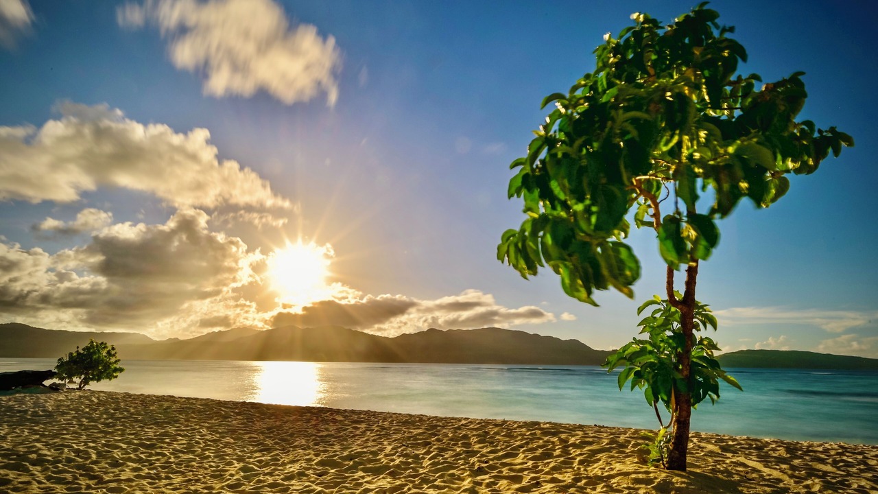 Photo of Others in Las Galeras