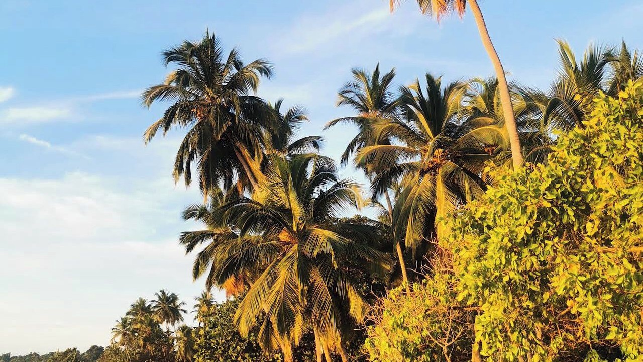 Photo of Others in Puerto Bahia