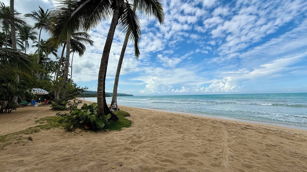 Photo of Others in Las Terrenas
