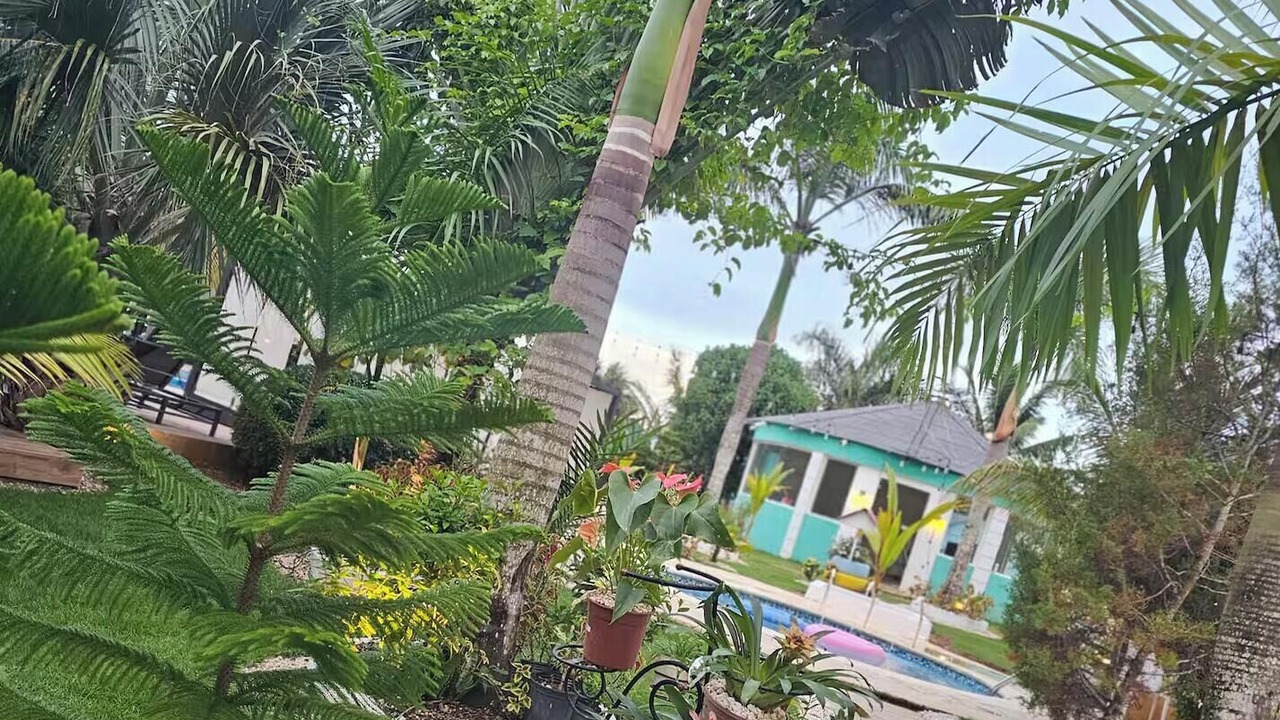 Photo of Outdoor in Higuey