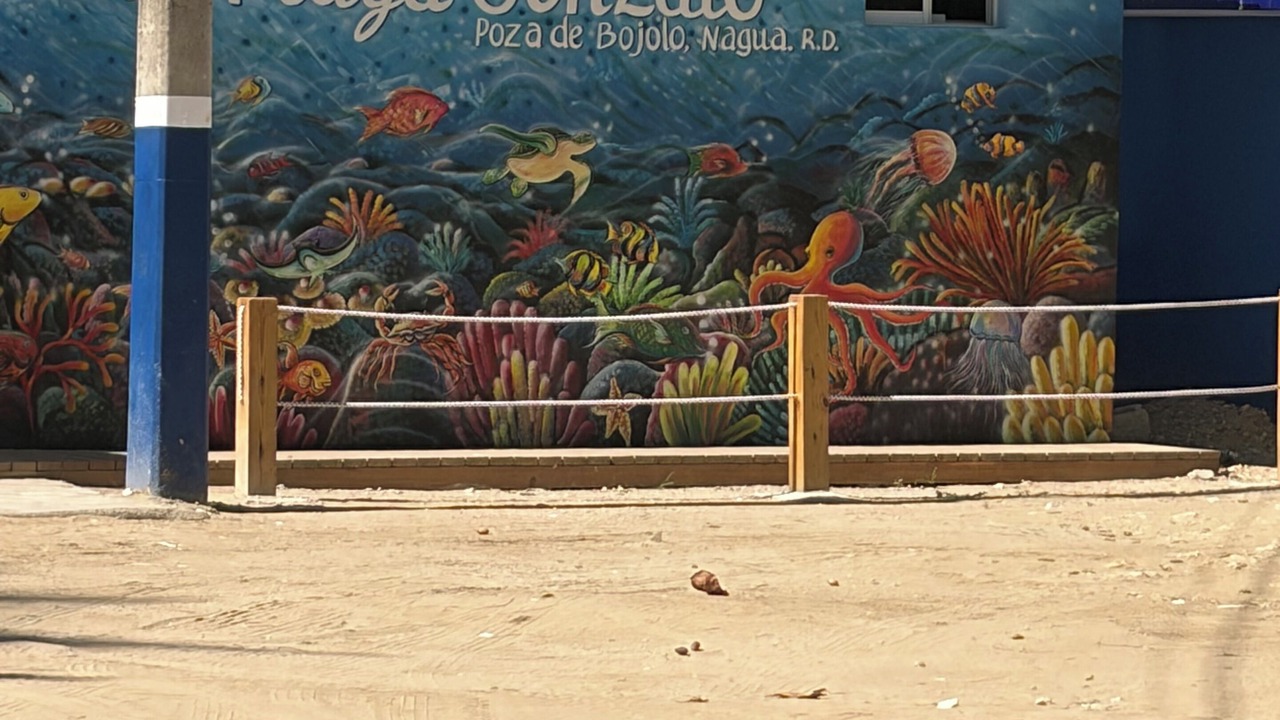 Photo of Others in Nagua