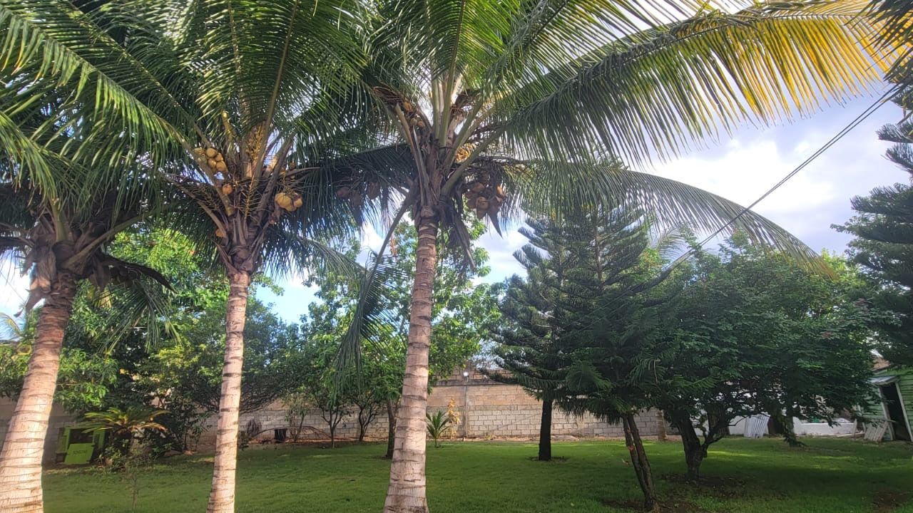 Photo of Outdoor in San Pedro de Macoris