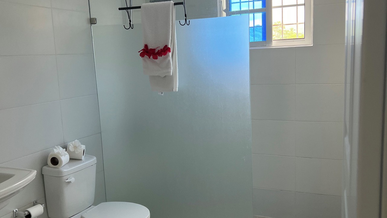 Photo of Bathroom in Higuey