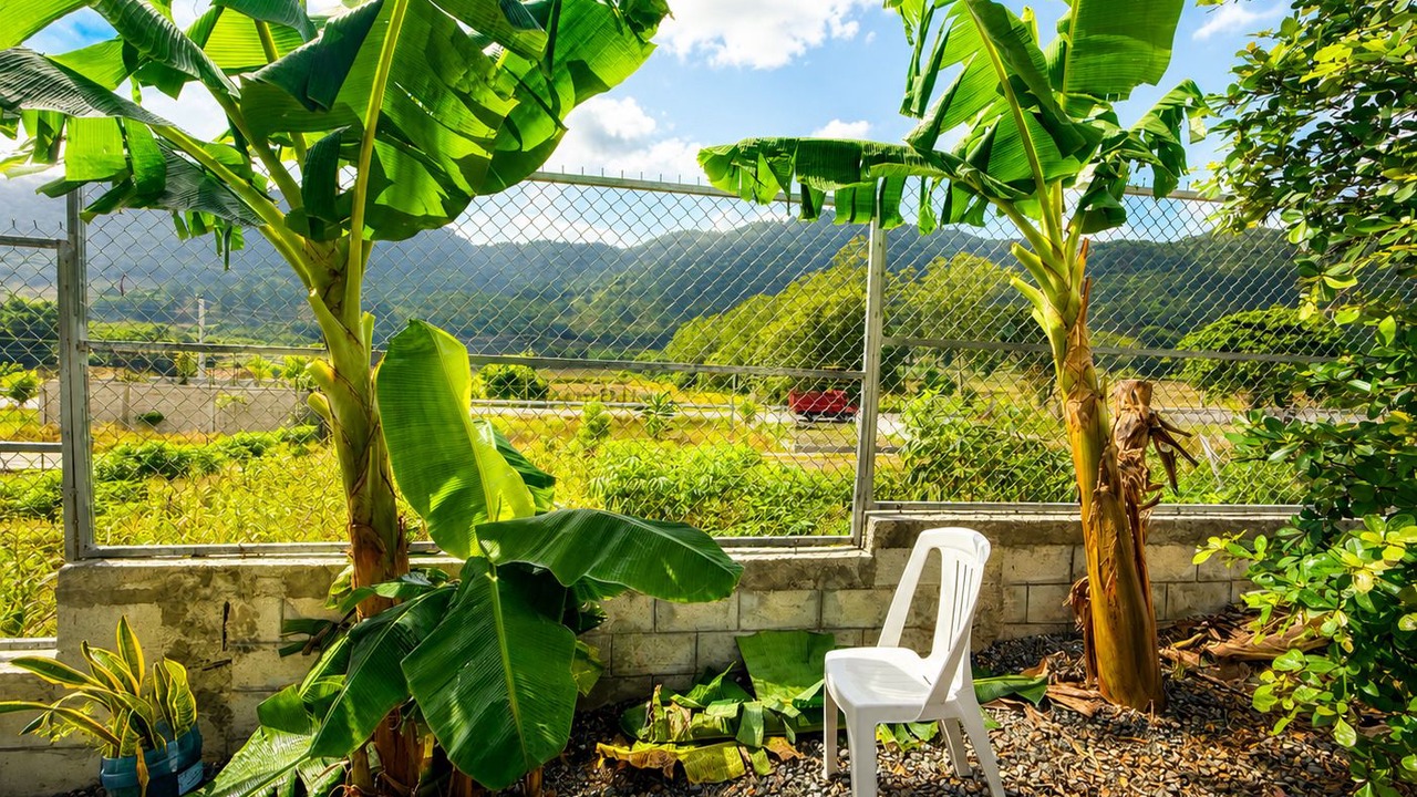 Photo of Outdoor in San Jose de Ocoa