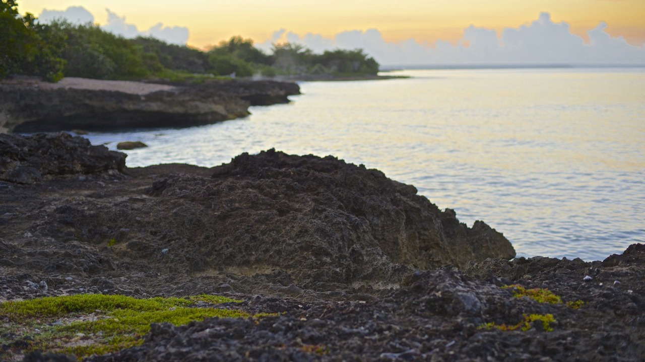 Photo of Others in Bayahibe