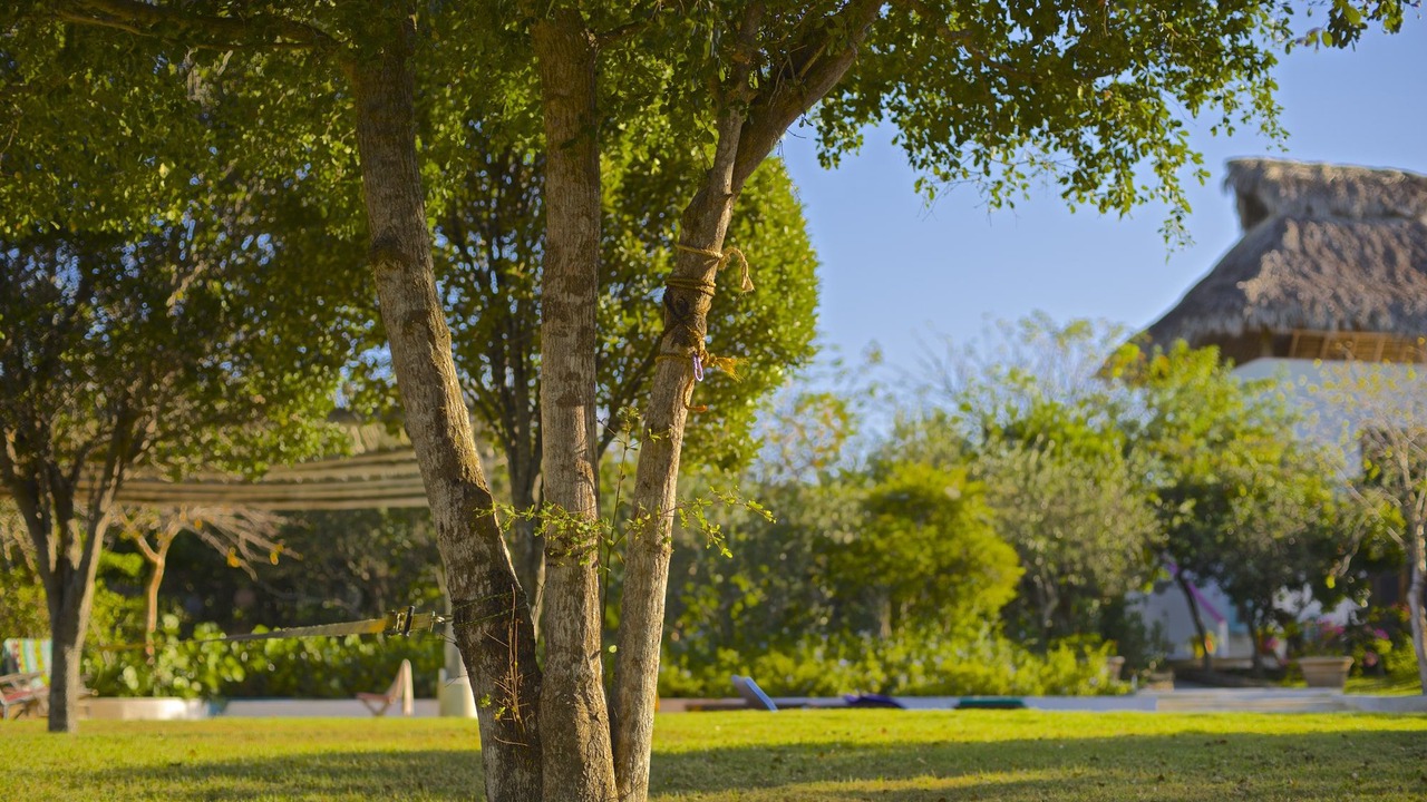 Photo of Outdoor in Bayahibe