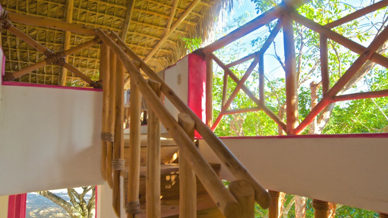 Photo of Outdoor in Bayahibe