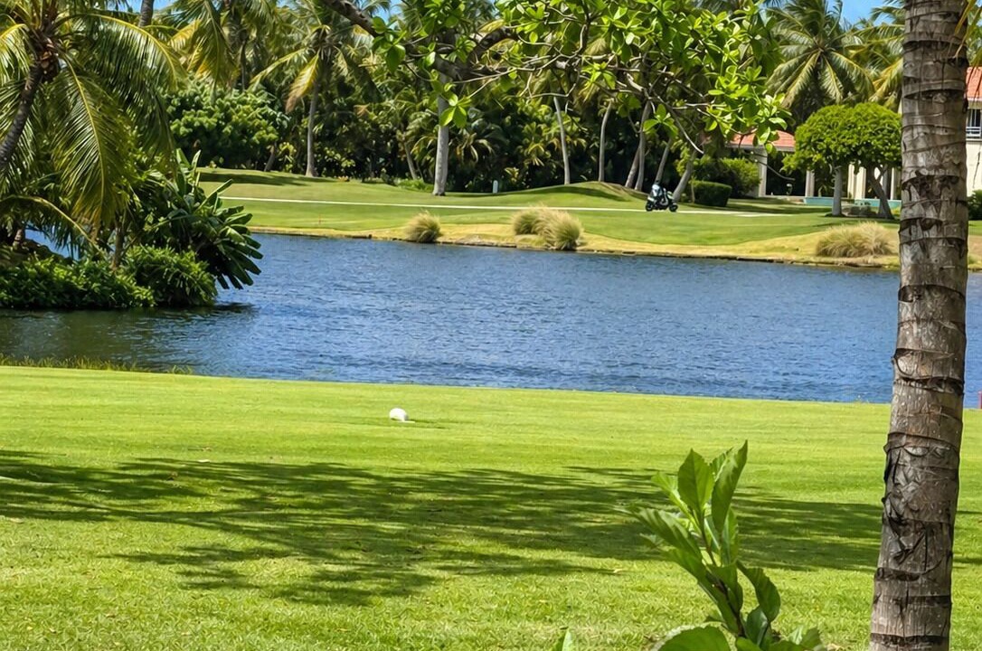 Photo of Others in Bavaro