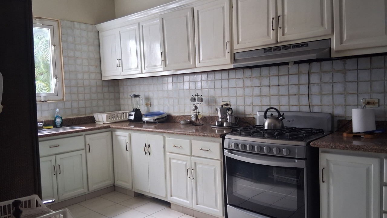 Photo of Kitchen in Luperon