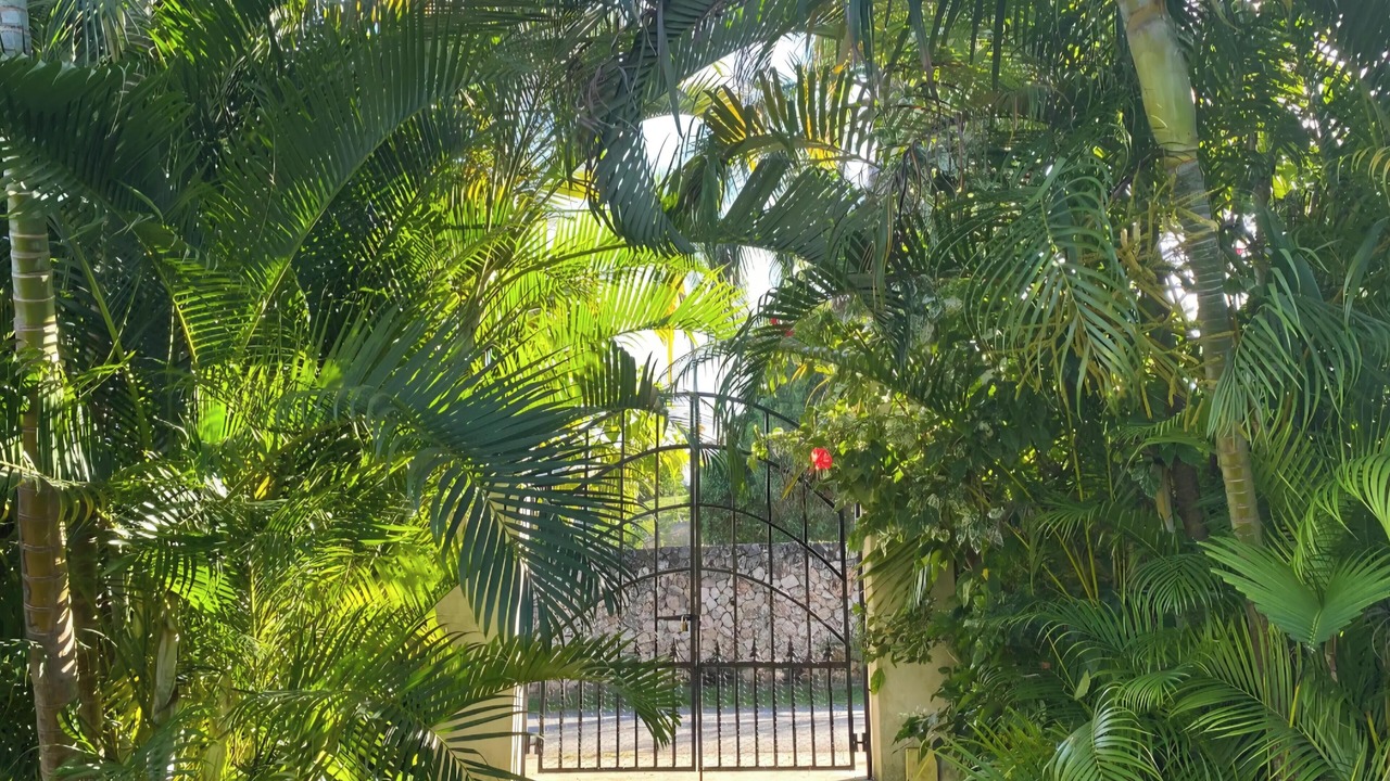 Photo of Outdoor in Cabrera