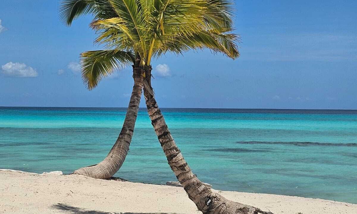Photo of Others in Bayahibe