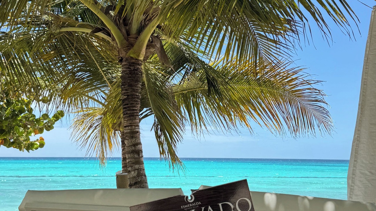 Photo of Others in Bayahibe