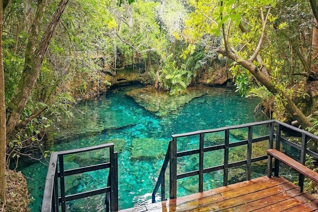 Photo of Outdoor in Punta Cana