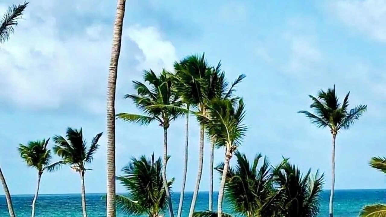 Photo of Outdoor in El Cortecito
