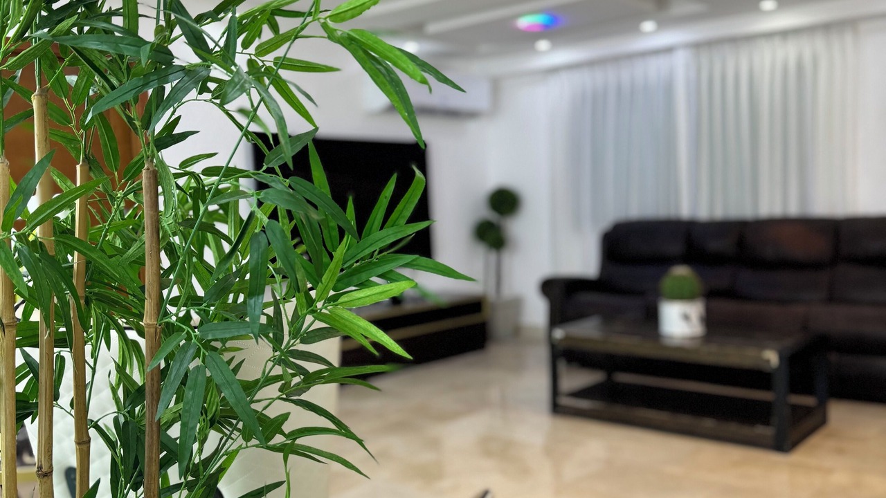 Photo of Livingroom in Renacimiento