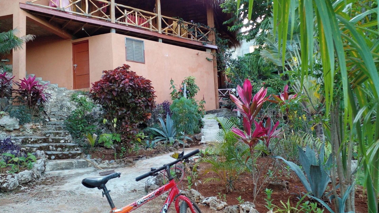 Photo of Outdoor in Las Galeras