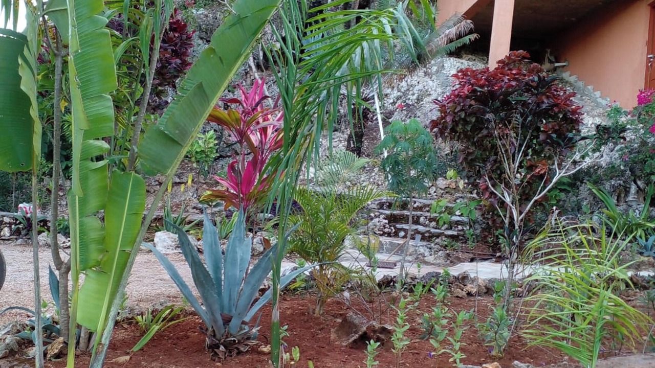 Photo of Outdoor in Las Galeras